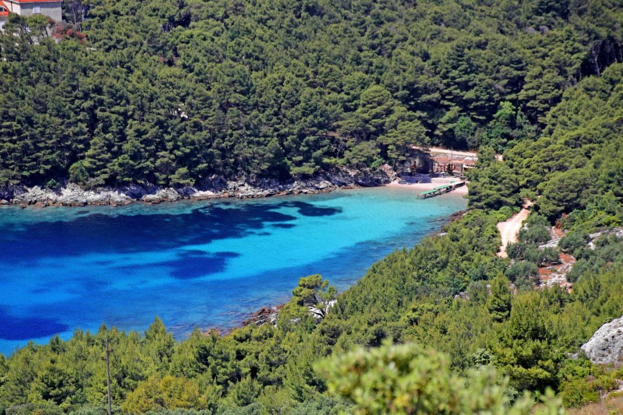 Apartments By The Sea Luka Dubrava, Peljesac - 4568 Janjina ภายนอก รูปภาพ